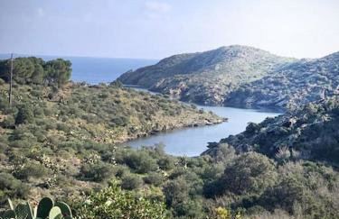 Vue mer, crique de Peyrefite, Cerbère-Banyuls. - Foto 45