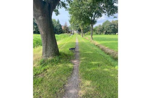 GRO-Ferienhaus - Foto 8