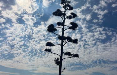 Bistrot del mare - Foto 78