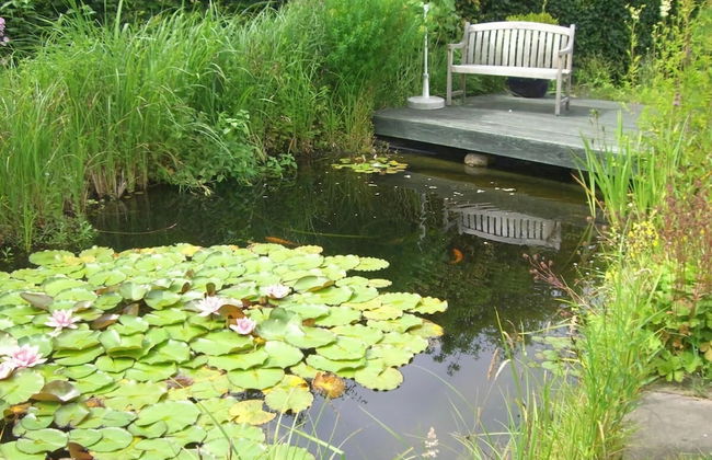 Holiday Apartment Schutt in Seedorf - Foto 10