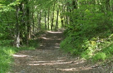 Chalet la Cachette Cyclists & Skiers - Foto 61