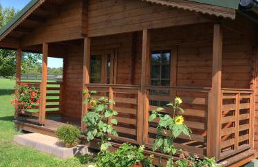 Pod Dziką Jabłonią - Foto 1