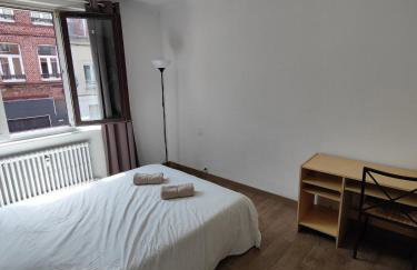 Center of Lille, spacious & cozy apartment - Foto 10