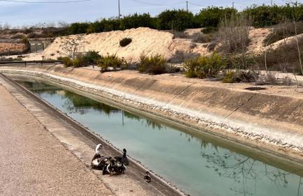 Turquesa del Mar - Charming Ground-Floor Spanish Apartment with Large Sunny Terrace - Foto 56