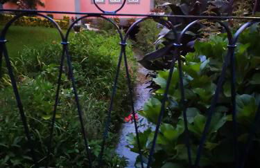 Quinta das Águias - Foto 24