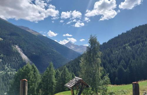 Casa Marta - Photo 8