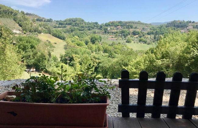 Alloggio Rurale - Foto 28