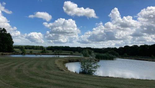 Terrapin Lodge - lakeside cabin - Foto 5