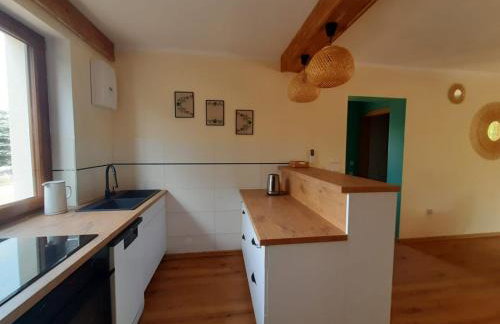 Dom Geografów - Foto 8