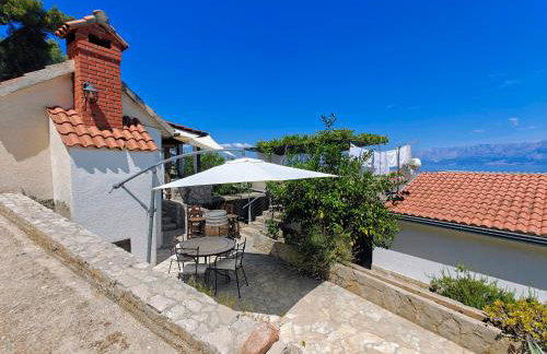 Robinson Merlot - Foto 6