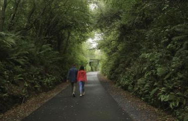 Killeavy Cottage - Foto 62