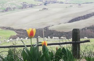 Agriturismo Collomici - Foto 35