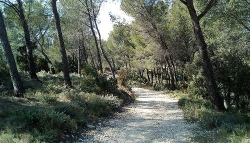 Single storey 40m² bordering pine forest and spa - Foto 5