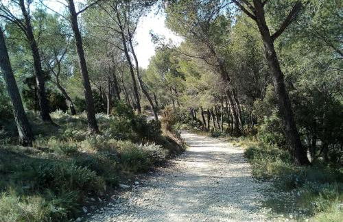 Single storey 40m² bordering pine forest and spa - Foto 5