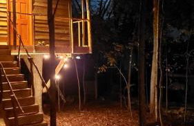 Radiant Forest Vacation Rental Haven Near Piney River, Tennessee - Foto 12