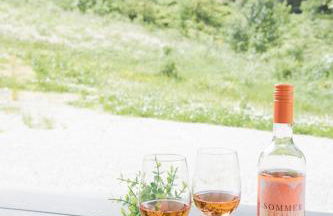 Ferienwohnung Passhöhe - Familien- Wander- und Skiurlaub - Hochschwarzwaldcard - Haus Wiesenquelle - Photo 41