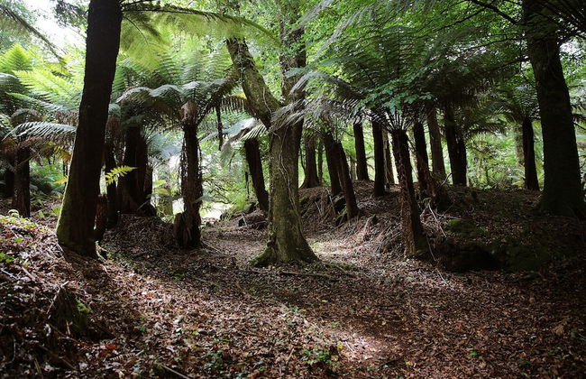 Radharc na Cealla Holiday Home - Photo 8