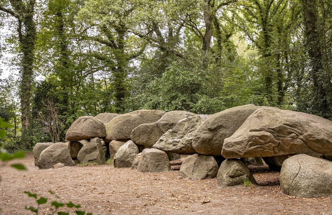 Restyled Bungalow, Near the Hunebed Center - Photo 37