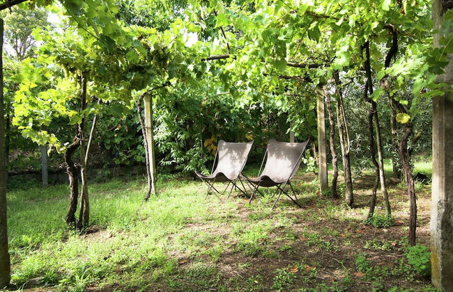 Holiday Home in Cortona - Photo 36