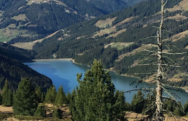 Landhaus Rosengartl Krimml - Foto 22