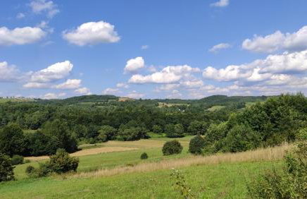 Wielgosówka - Foto 21