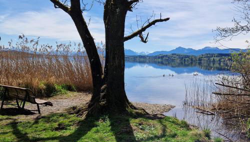 Stadlerhof Alpen- & Seeblick - Photo 5