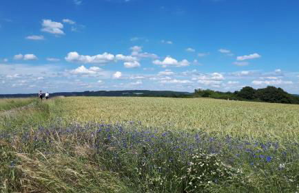 4-Sterne Ferienwohnung Carbach -Perfekt für Radfahrer- - Foto 18