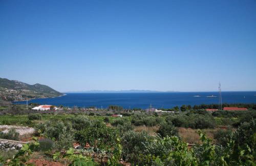 Apartman A&M - Photo 7