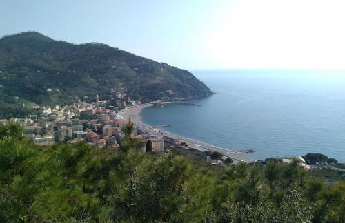 La Calla Rossa - Foto 17