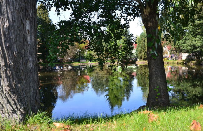 Ferienwohnung Romance - Foto 26