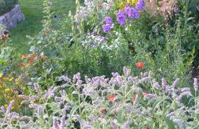 Ferienwohnung Wild - Foto 37