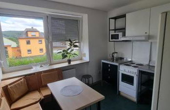 Monteurwohnung - Foto 13