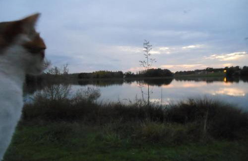 The Lake Cottage in Gascony France - Foto 36