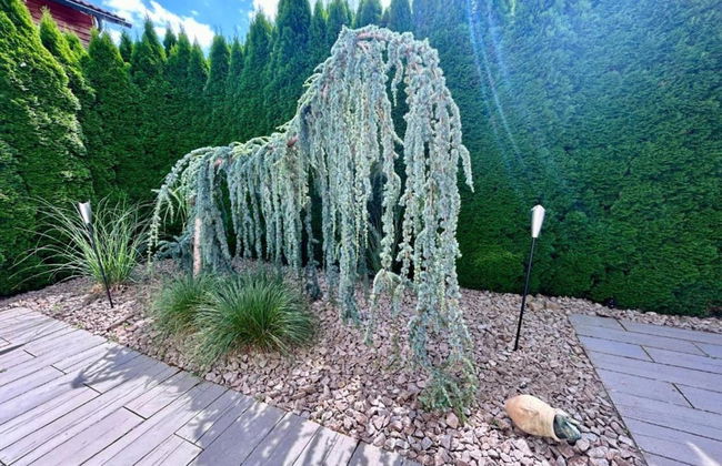 Ferienwohnung mit Balkon im Schwarzwald - Foto 38