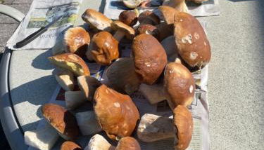 Ferienwohnung Inga - Foto 4