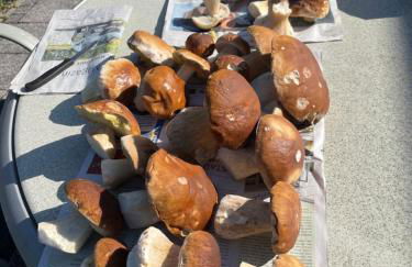 Ferienwohnung Inga - Foto 4