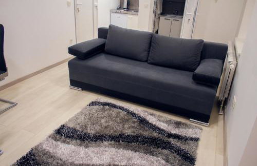 Apartments Petrova170 - Foto 6