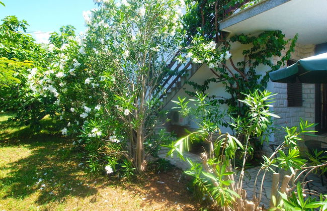 Apartment 1669 - Photo 54