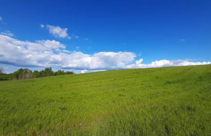 Tiny House Grabovac - Foto 52