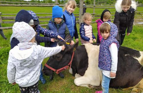 Pensjonat Przy Stajni - Foto 9