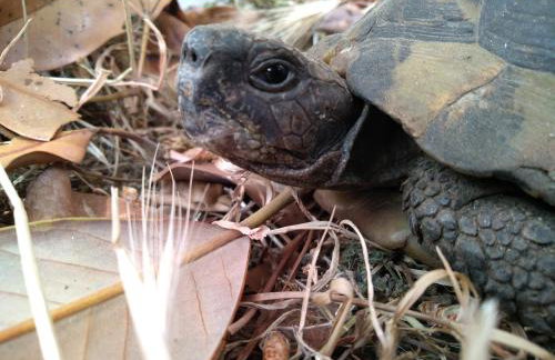 Bohemian Rhapsody - Foto 11