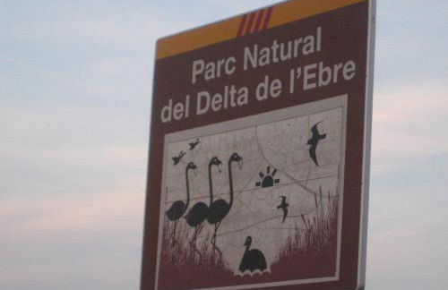 Apartamento Illa Mar - Foto 25