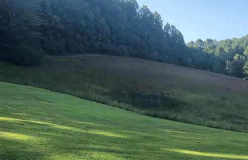 Home in the Heart of W.V. Adventure Country! - Photo 66