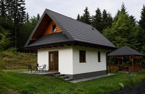 Biały Domek Świerczek - Jacuzzi, Balia Ruska SPA, Rowery, Altana i Grill w Słopnice - Foto 16