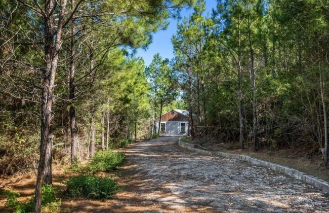 Modern Cabin in Pine Forest Near Austin - Foto 25