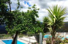 Mira Pombeira - Photo 1