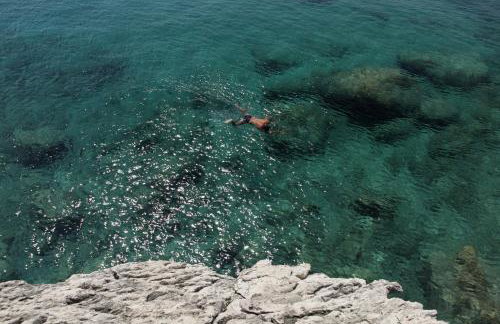 Robinson Stevica - Photo 7