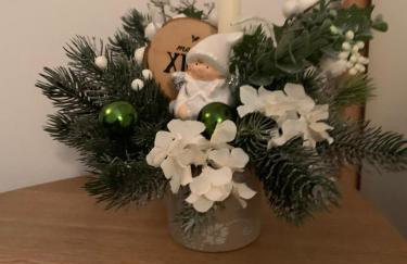 Šarmantni apartman Malecka 2 - Foto 11