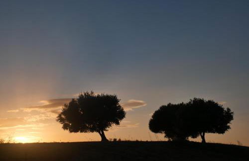 APICULTEUR - Foto 23