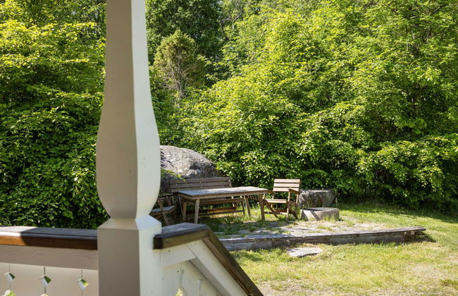 Vänneböke - Foto 8